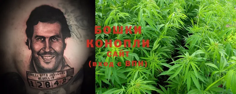 где продают   Переславль-Залесский  Конопля White Widow 